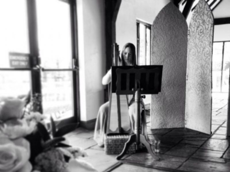 susan harpist
